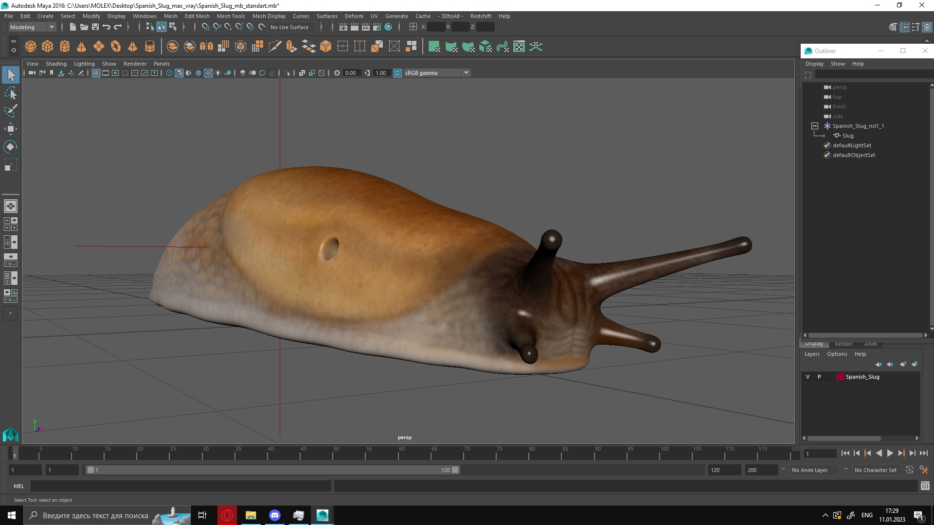 Spanish Slug 3D
