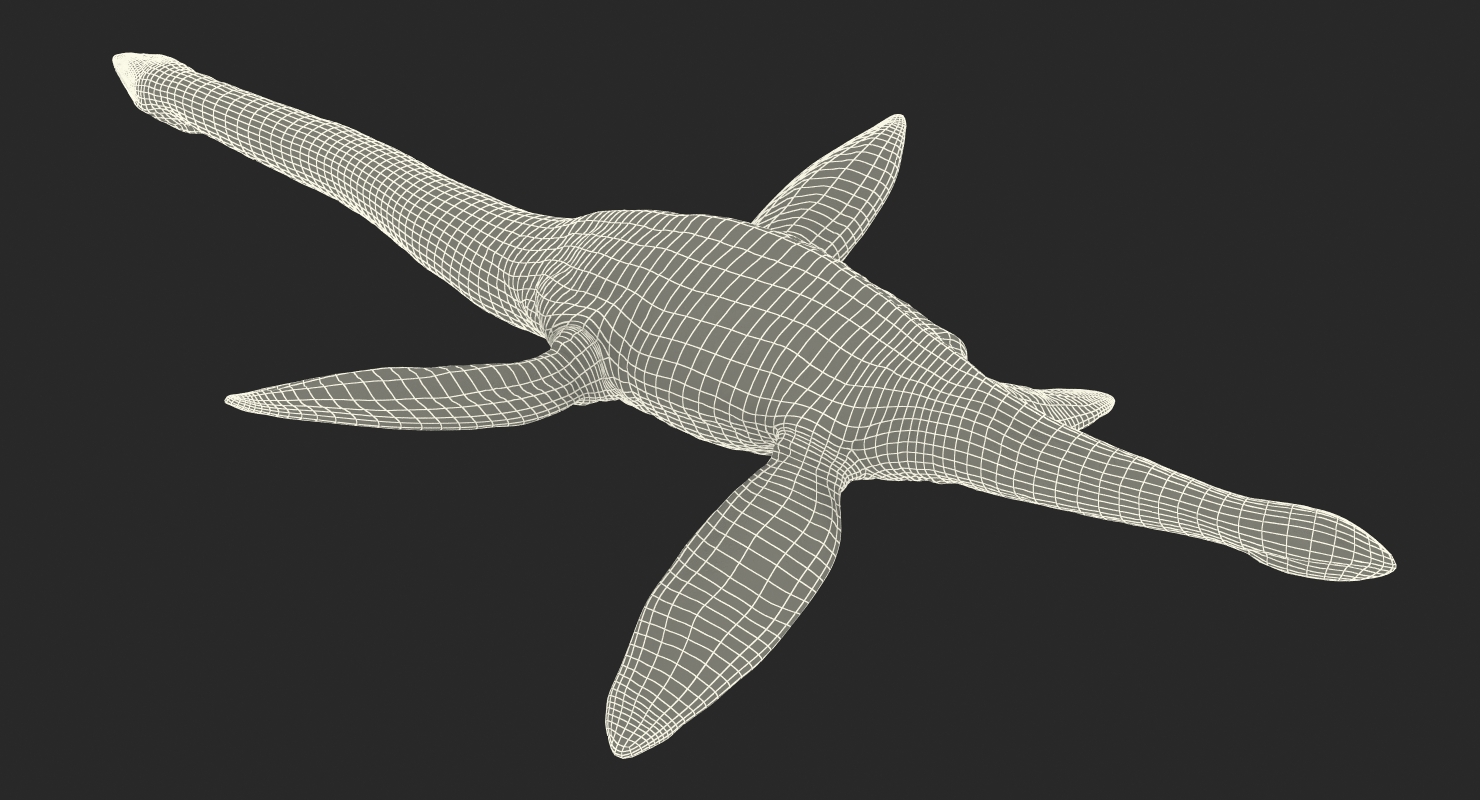 3D model Dinosaur Plesiosauria Swimming Pose