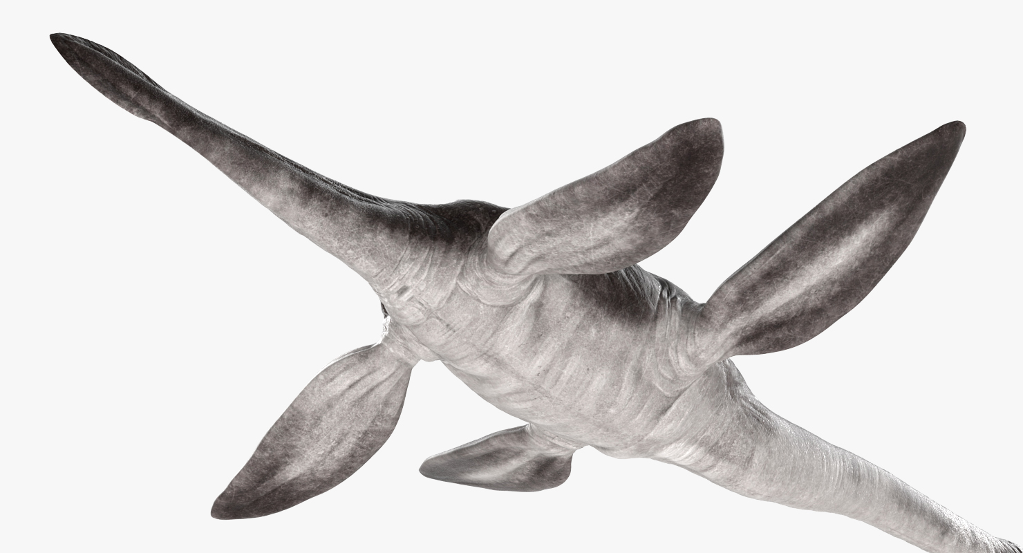 3D model Dinosaur Plesiosauria Swimming Pose