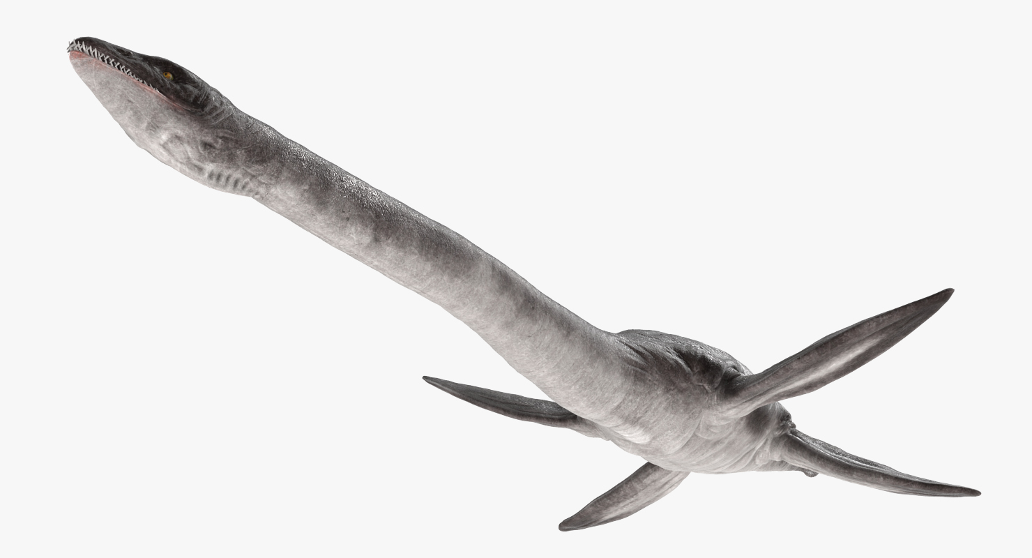 3D model Dinosaur Plesiosauria Swimming Pose