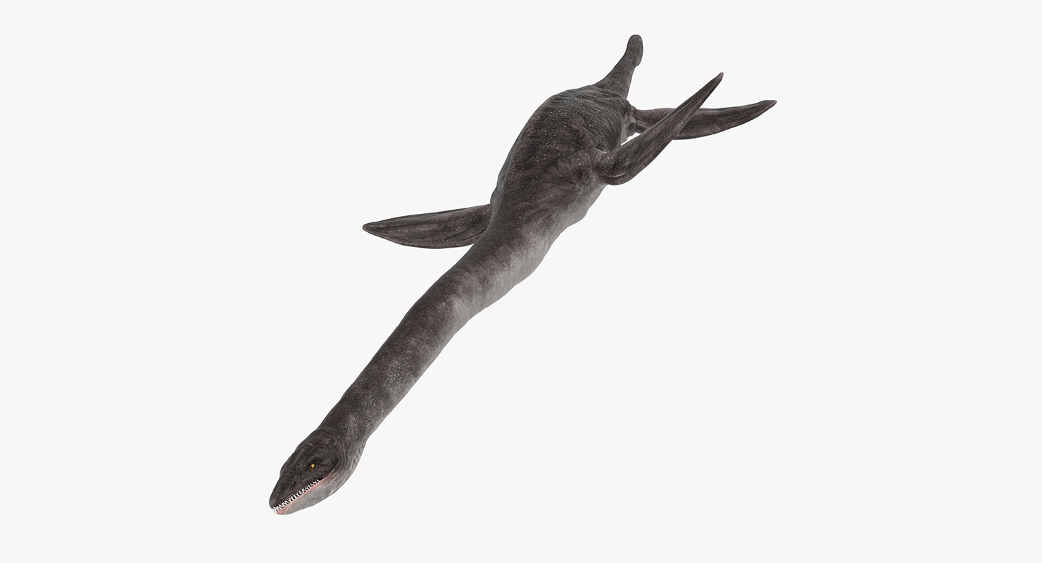 3D model Dinosaur Plesiosauria Swimming Pose