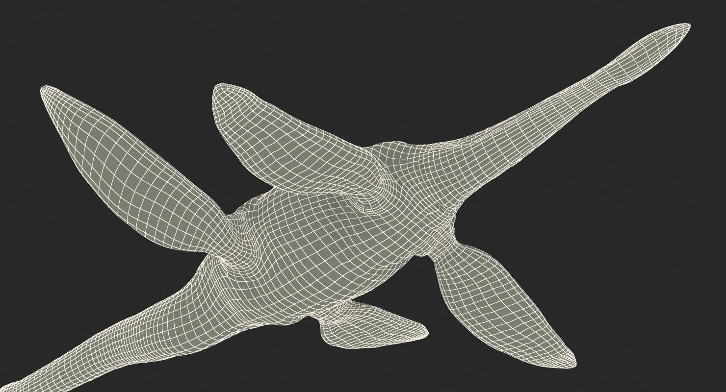 3D model Dinosaur Plesiosauria Swimming Pose