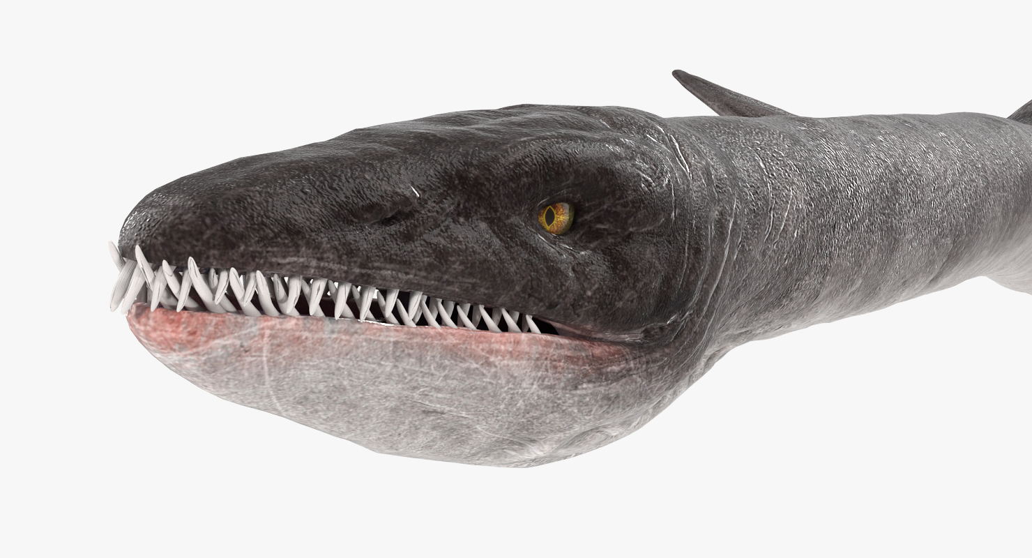 3D model Dinosaur Plesiosauria Swimming Pose