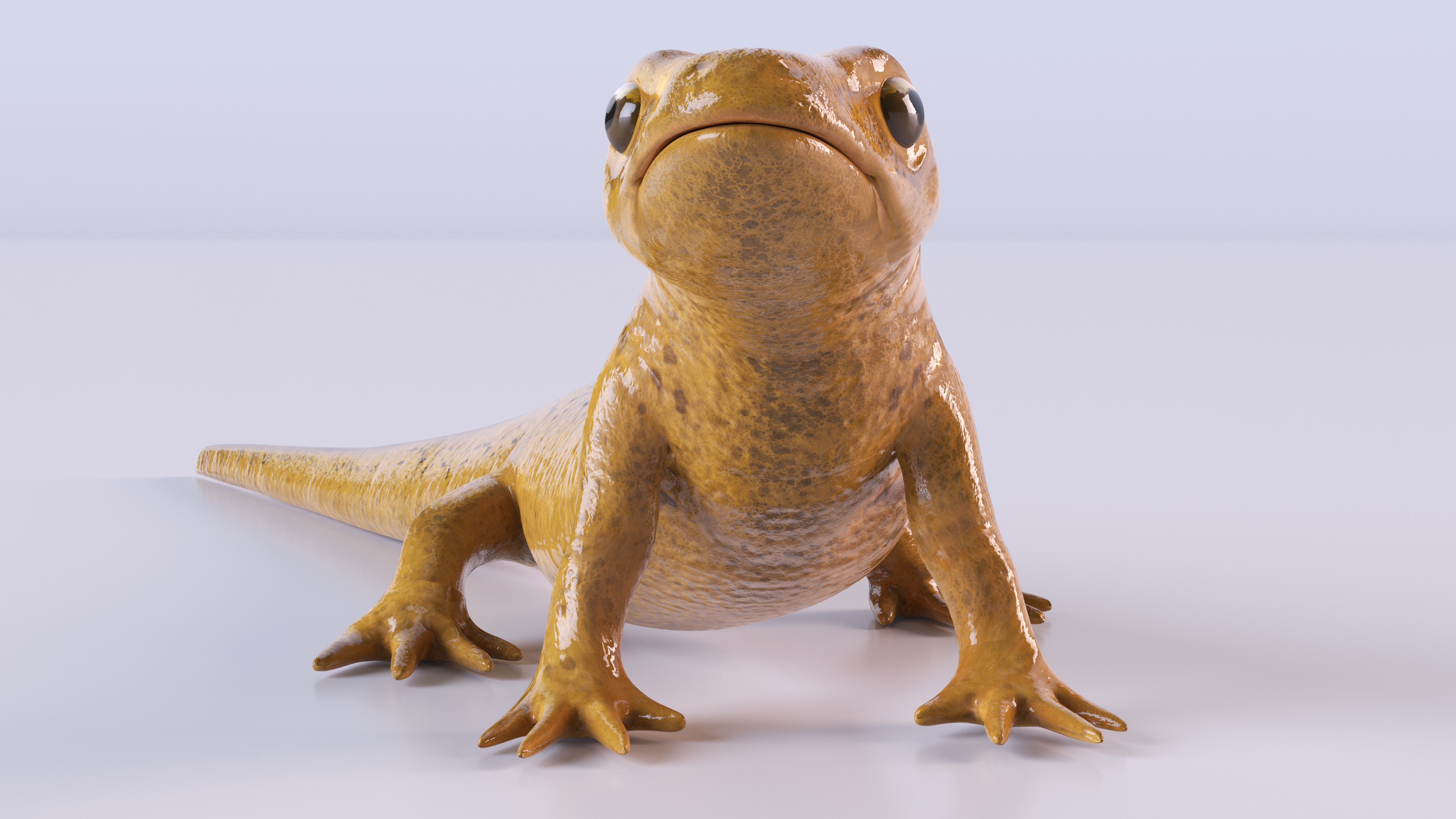 3D model Common Newt Standing Pose