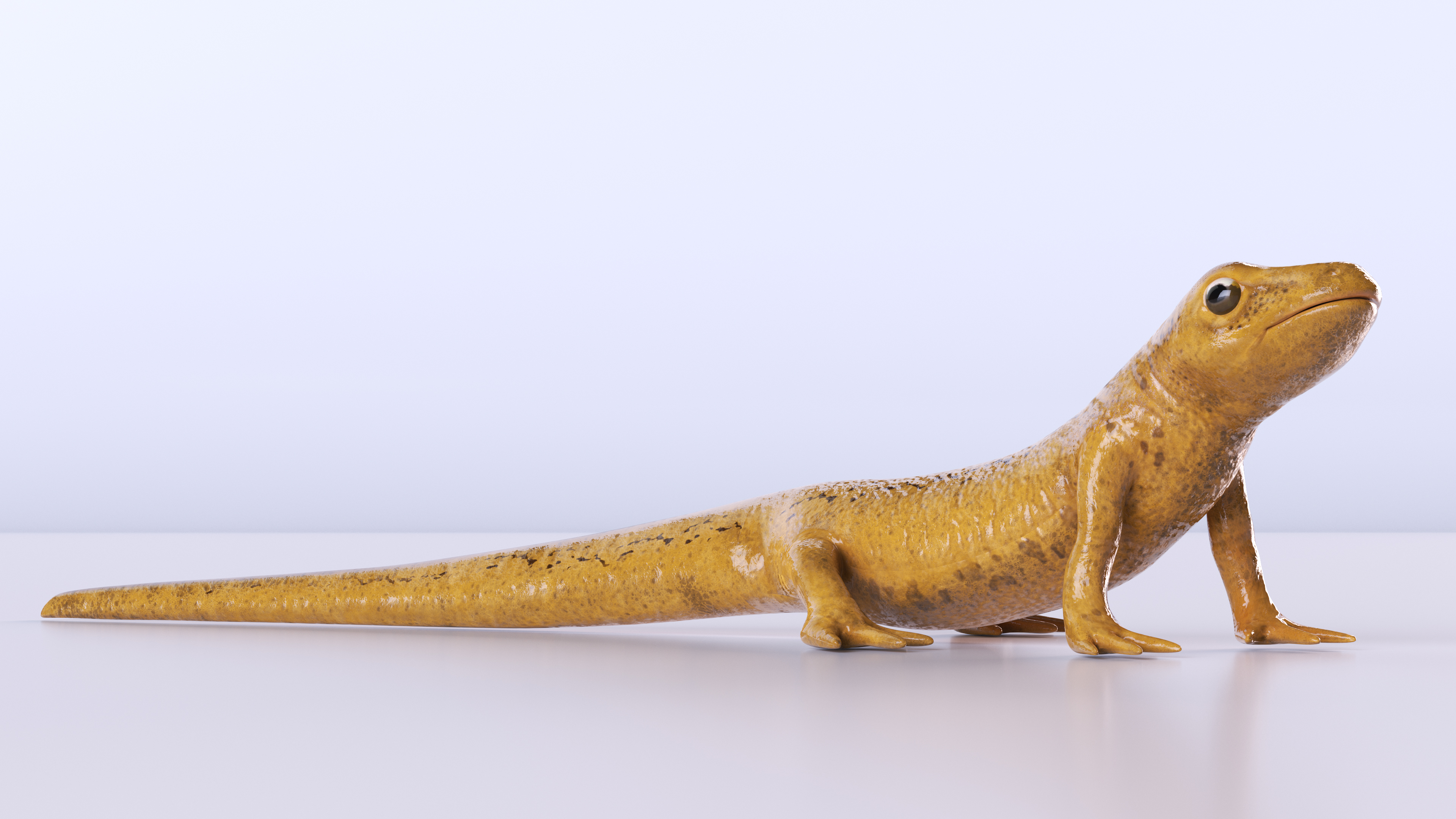 3D model Common Newt Standing Pose