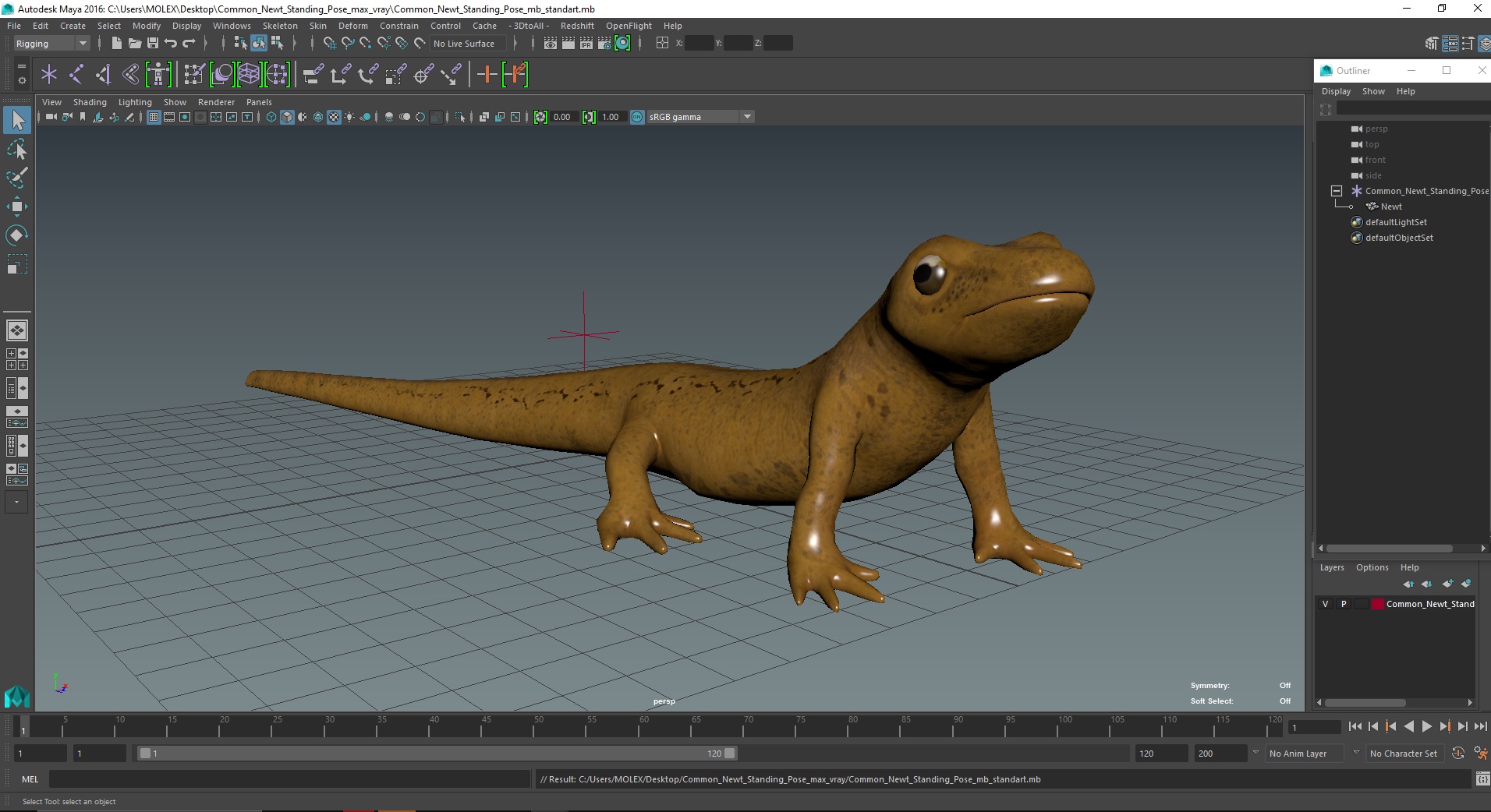 3D model Common Newt Standing Pose