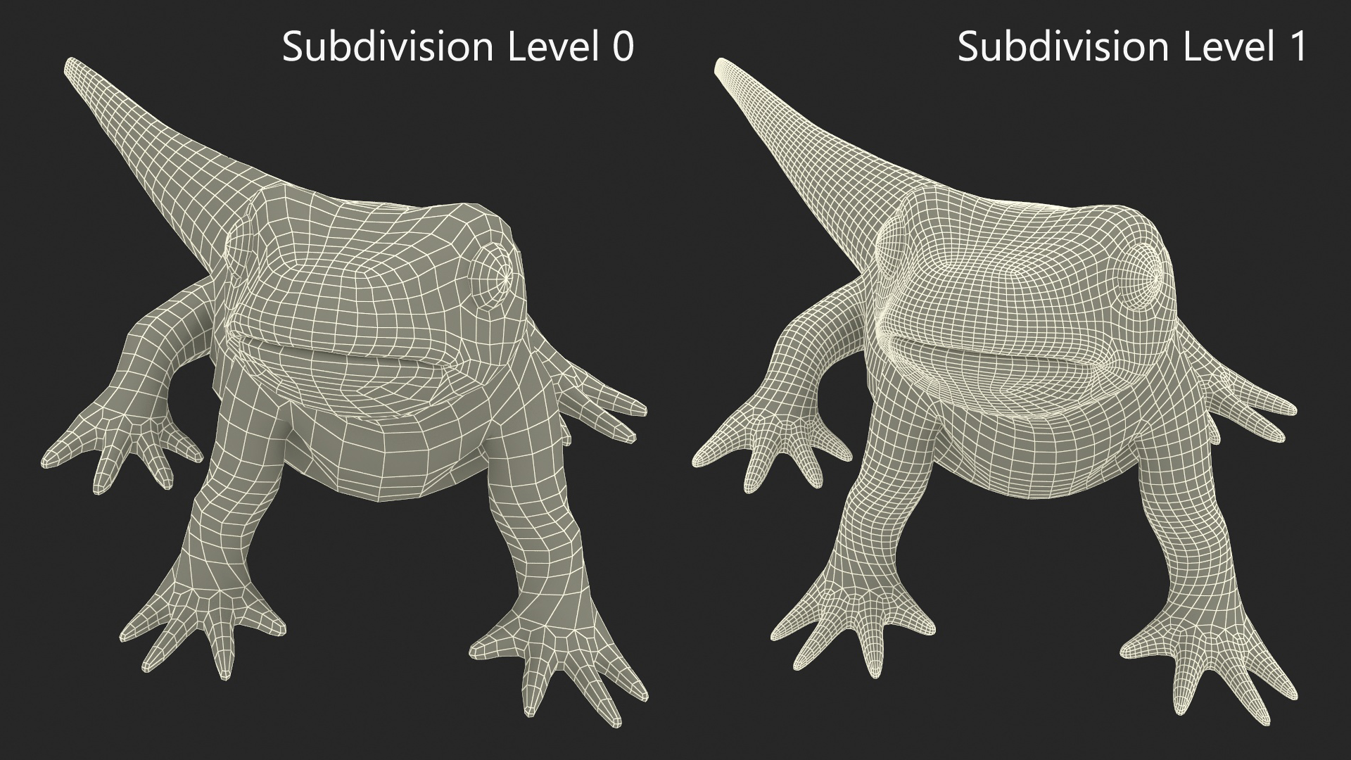 3D model Common Newt Standing Pose