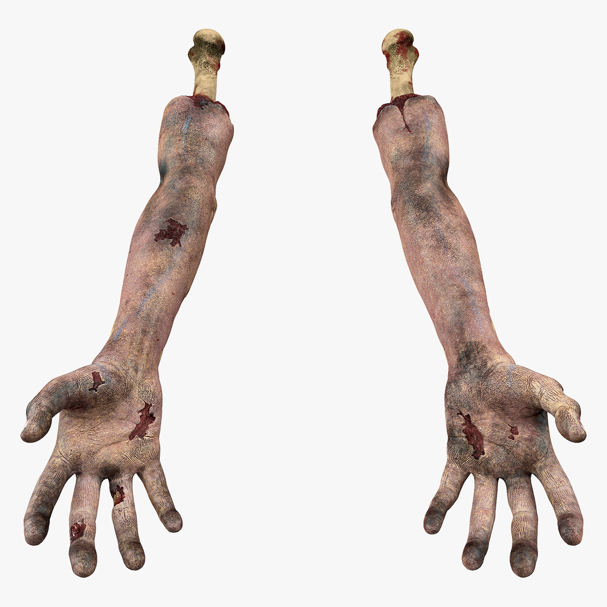 Bloody Zombie Arms, view 8