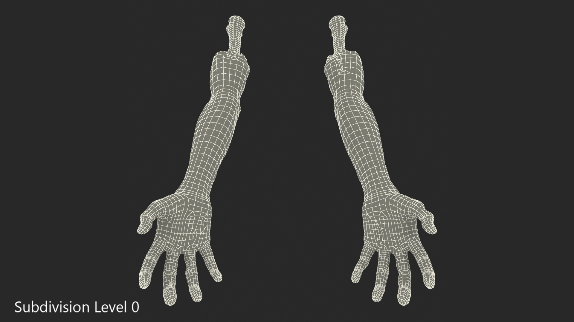 3D Bloody Zombie Arms model