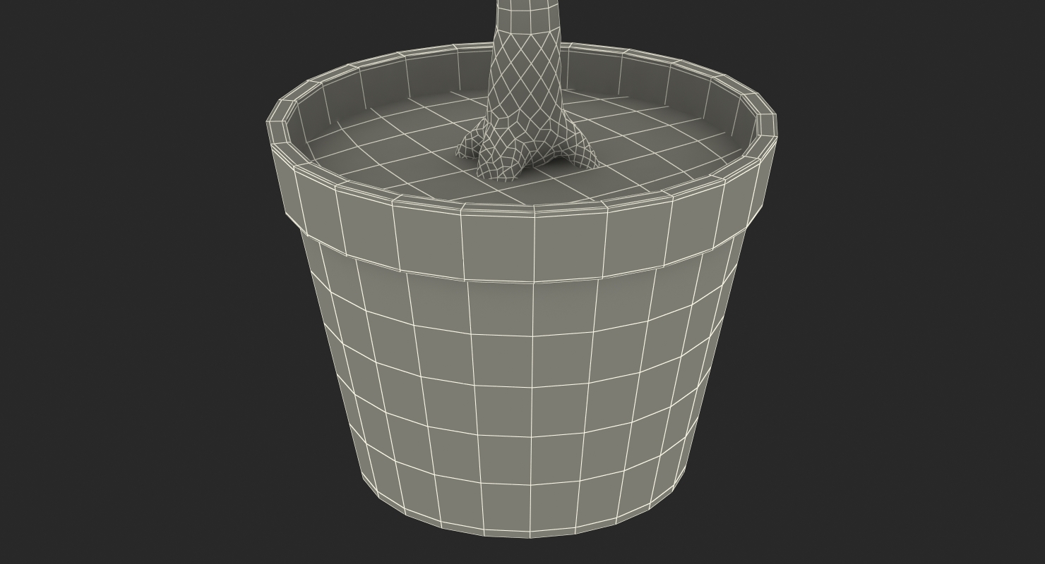 Potted Lemon Tree 3D