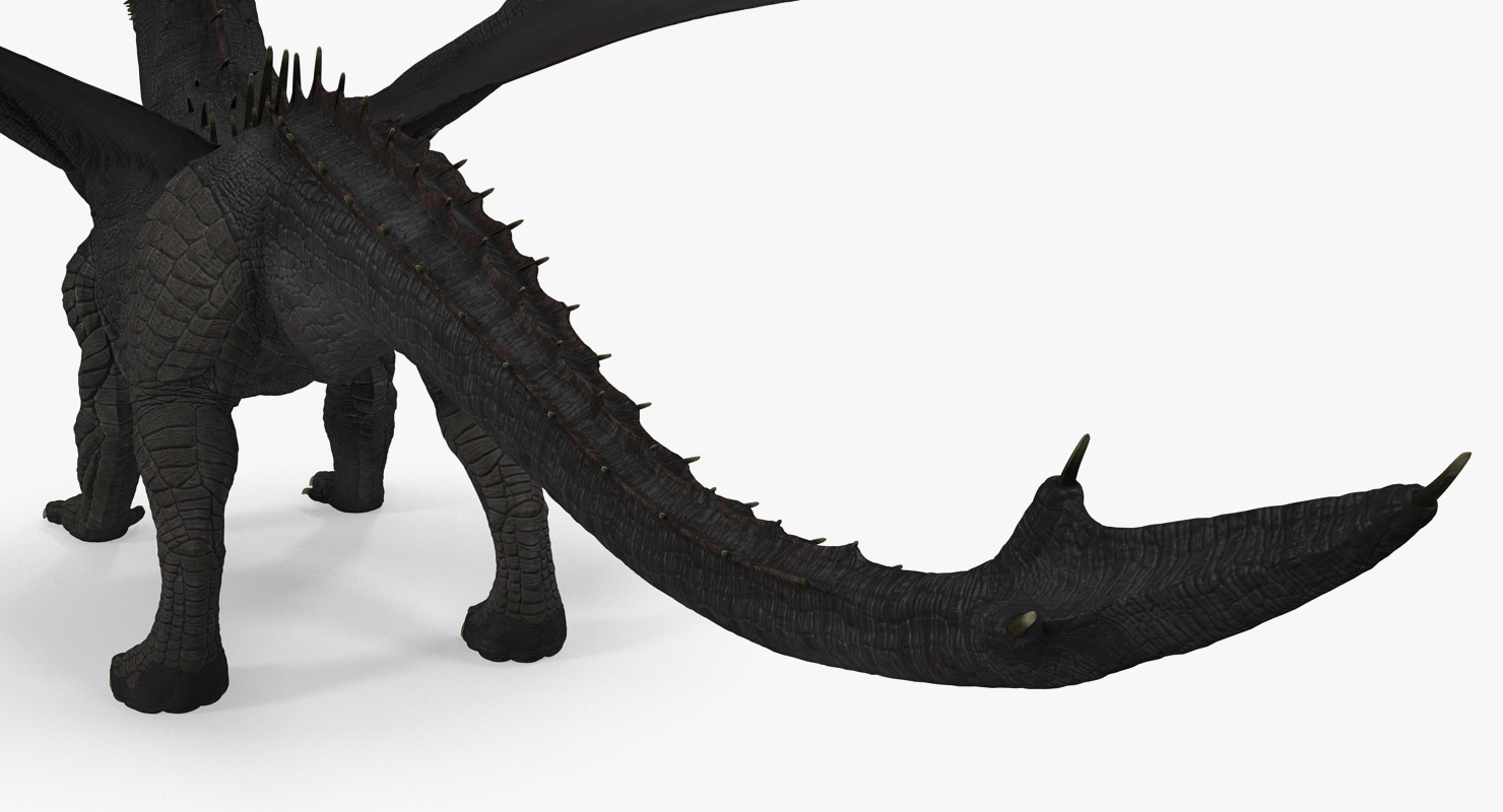 3D Black Mythical Dragon