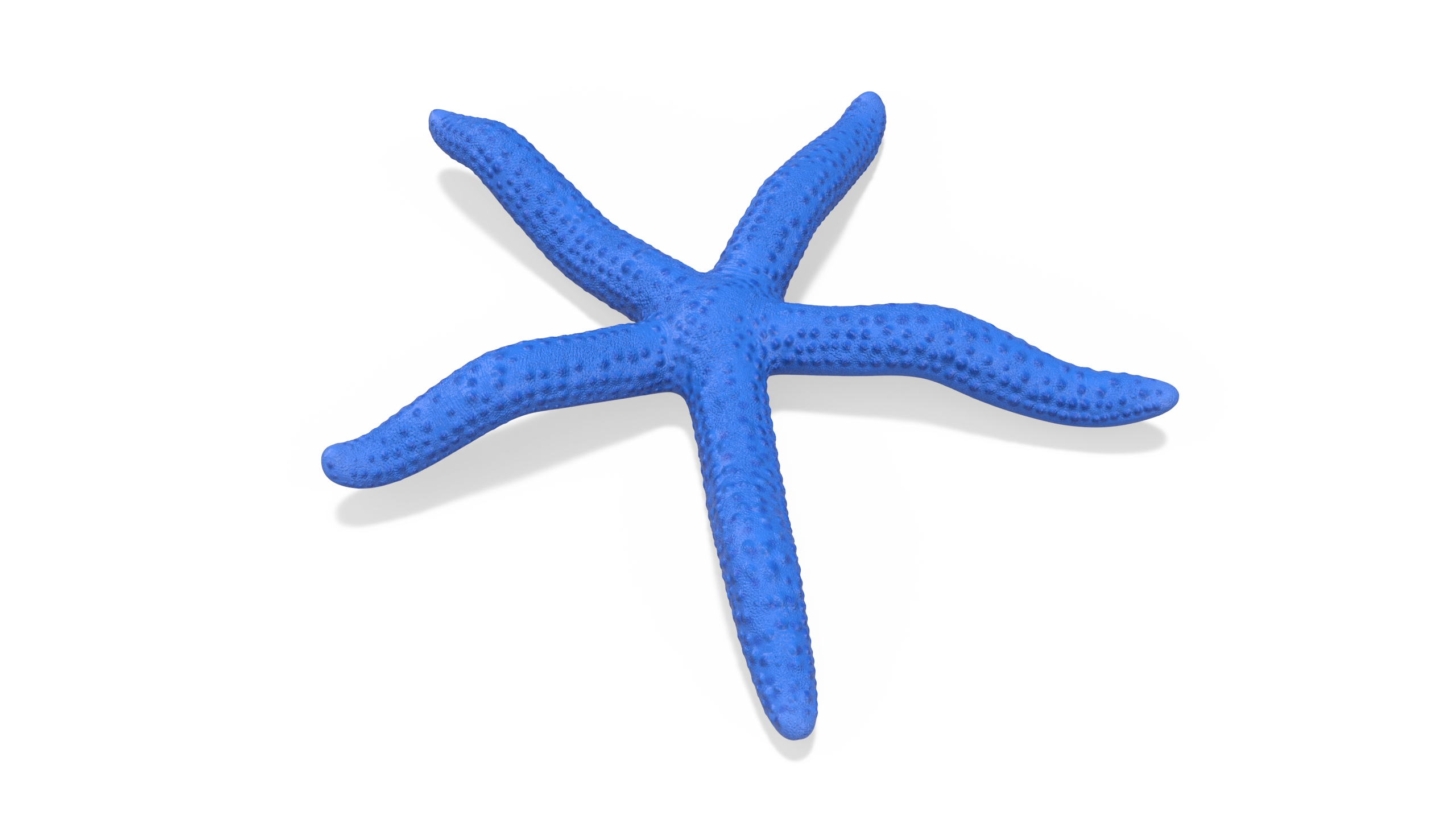 3D Ocean Starfish Rigged