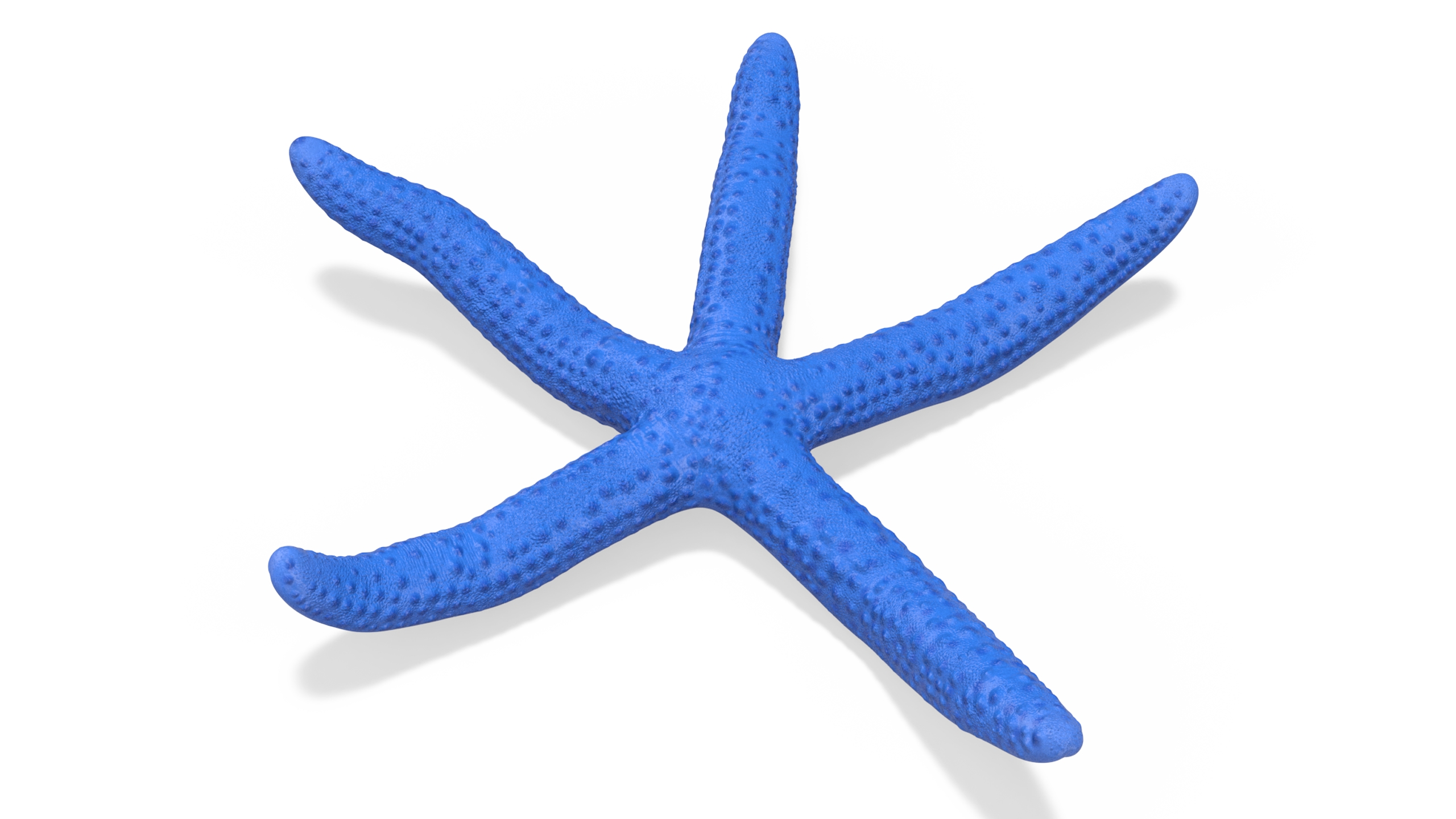 3D Ocean Starfish Rigged