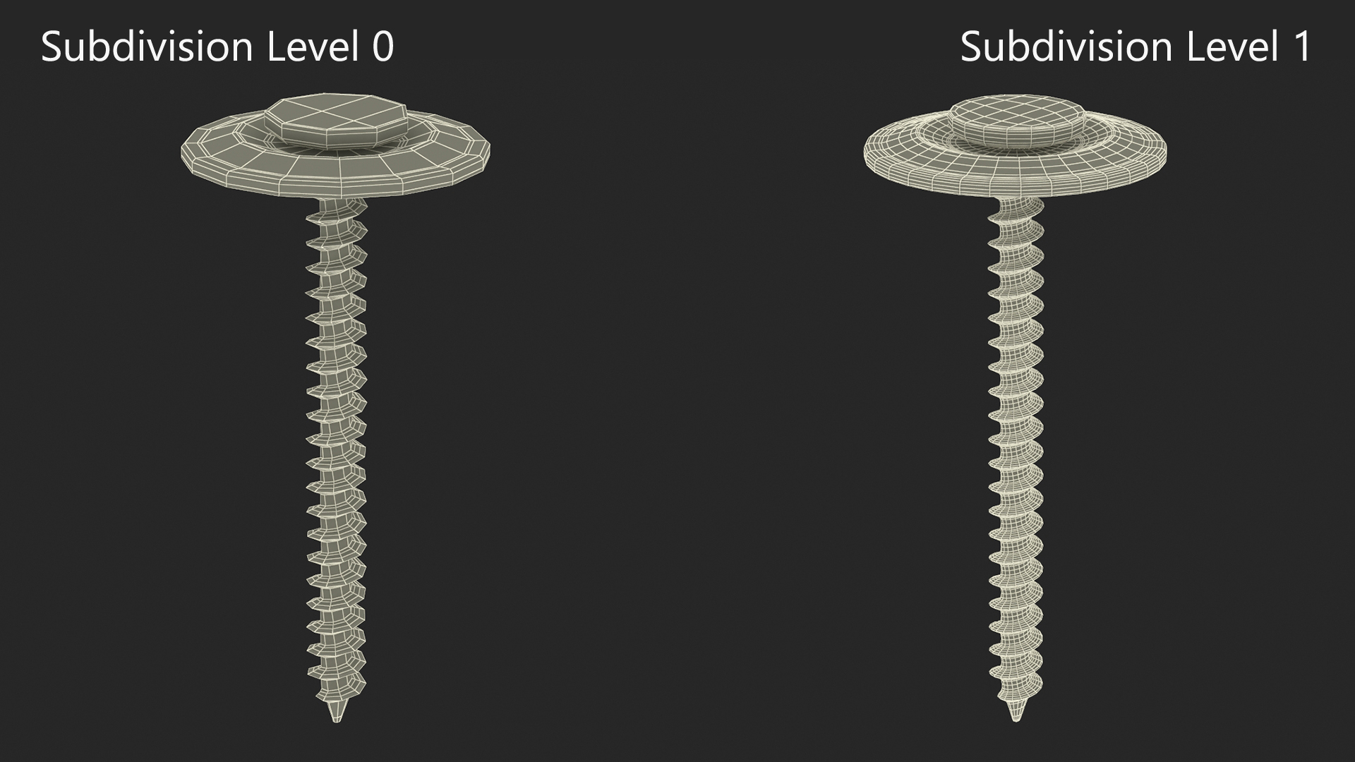 Cap Nails 3D model