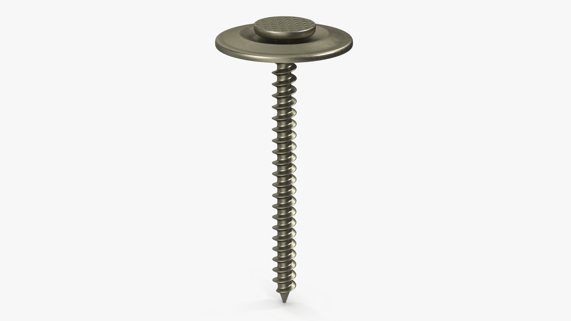 Cap Nails 3D model