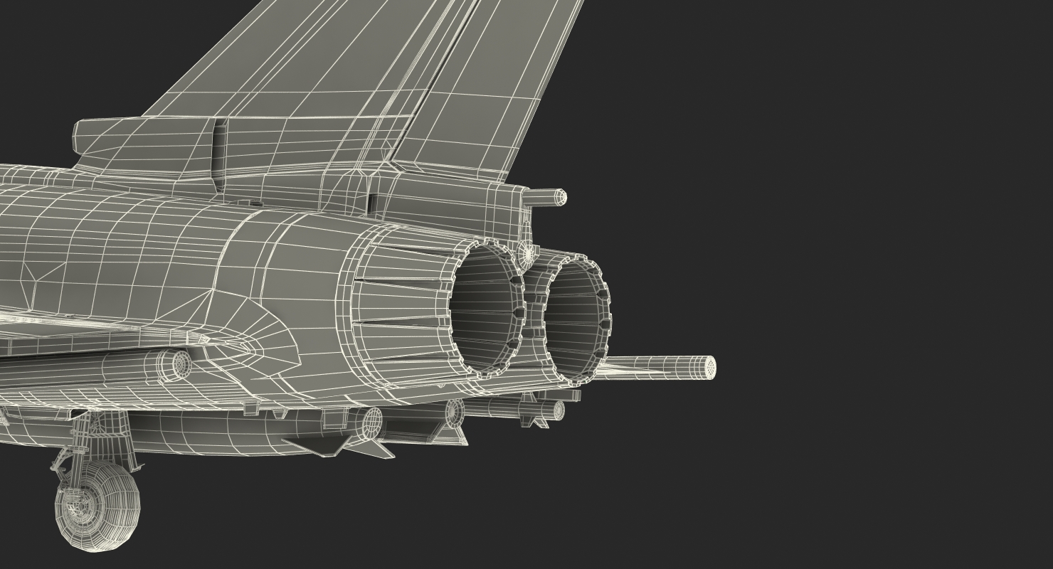 Multirole Fighter Eurofighter Typhoon Rigged 3D model