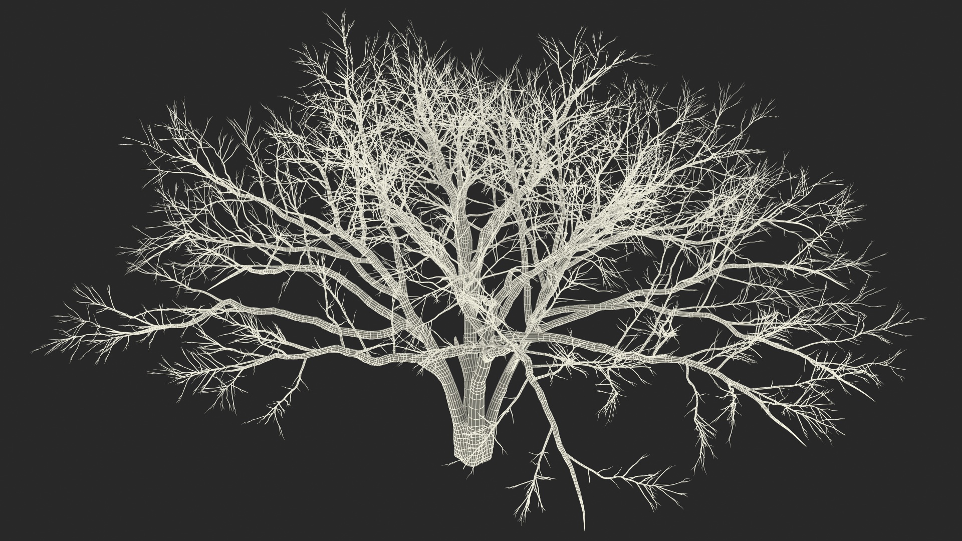 3D model Naked Tree