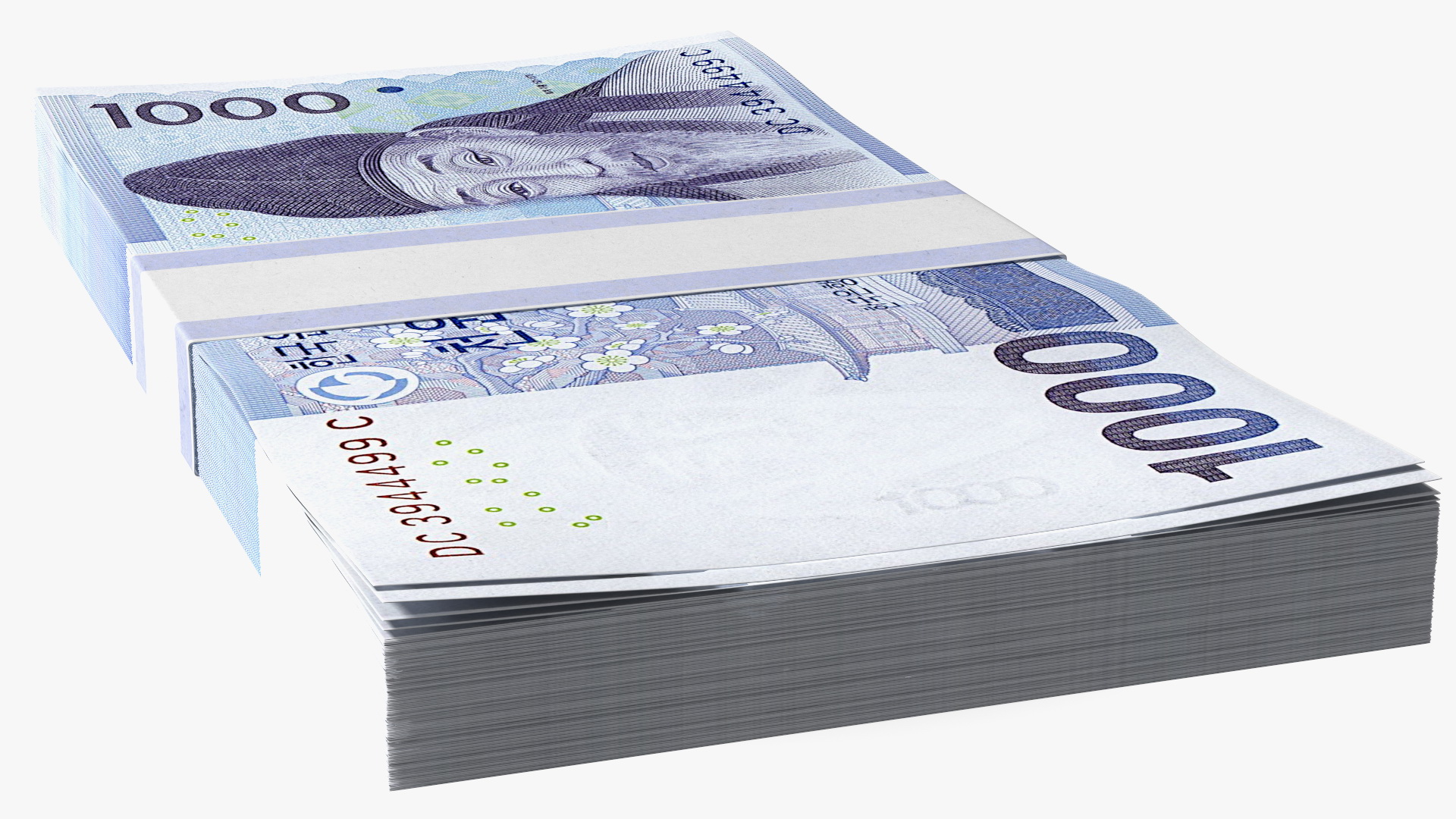 South Korean 1000 Won Banknote Bundle 3D