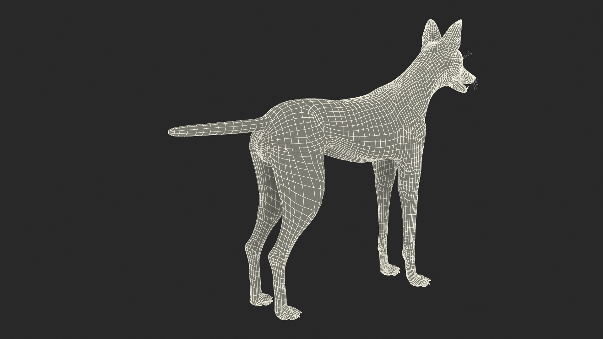 Maned Wolf Fur 3D model