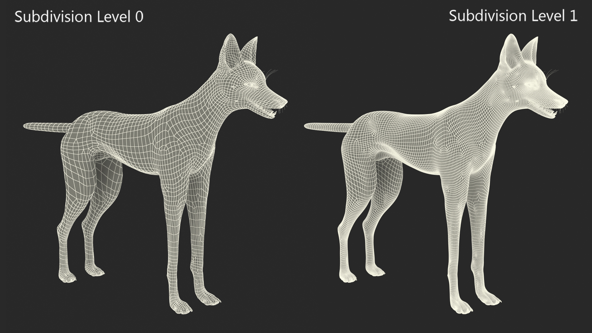 Maned Wolf Fur 3D model