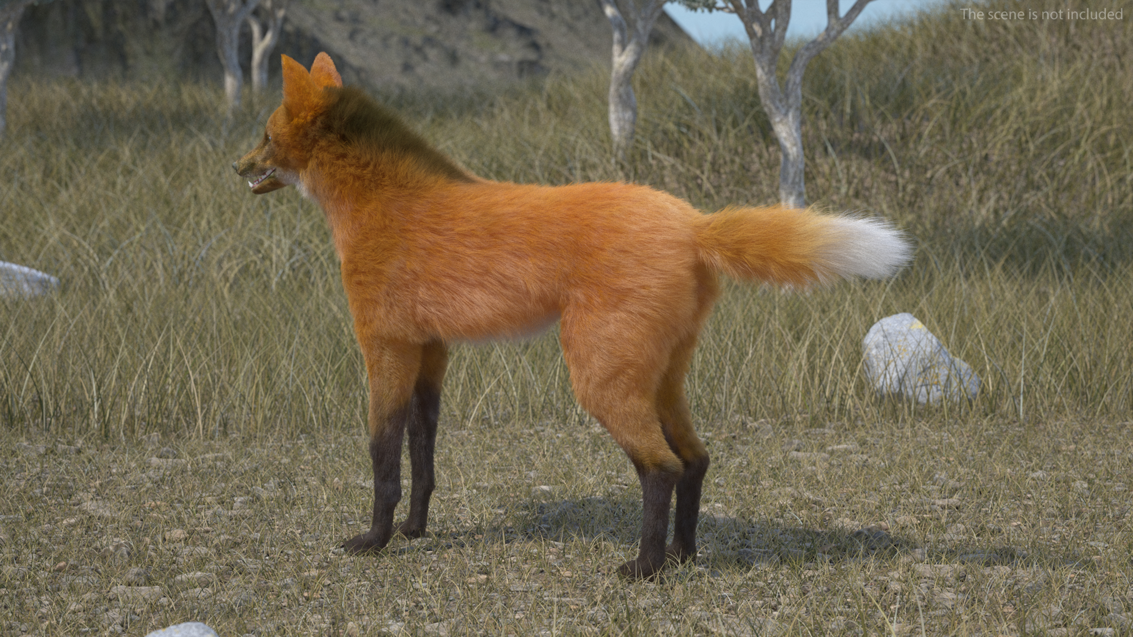 Maned Wolf Fur 3D model