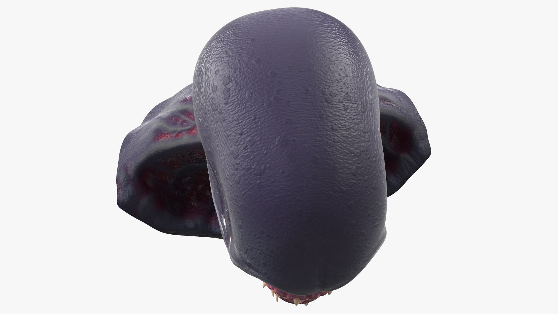 Scary Creature Head 3D model