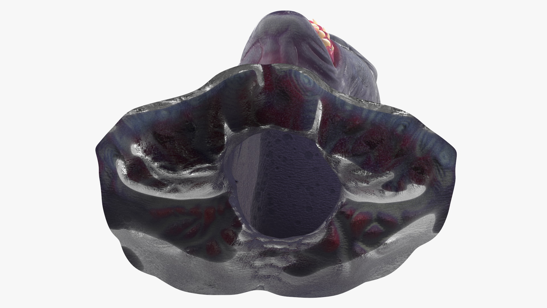 Scary Creature Head 3D model