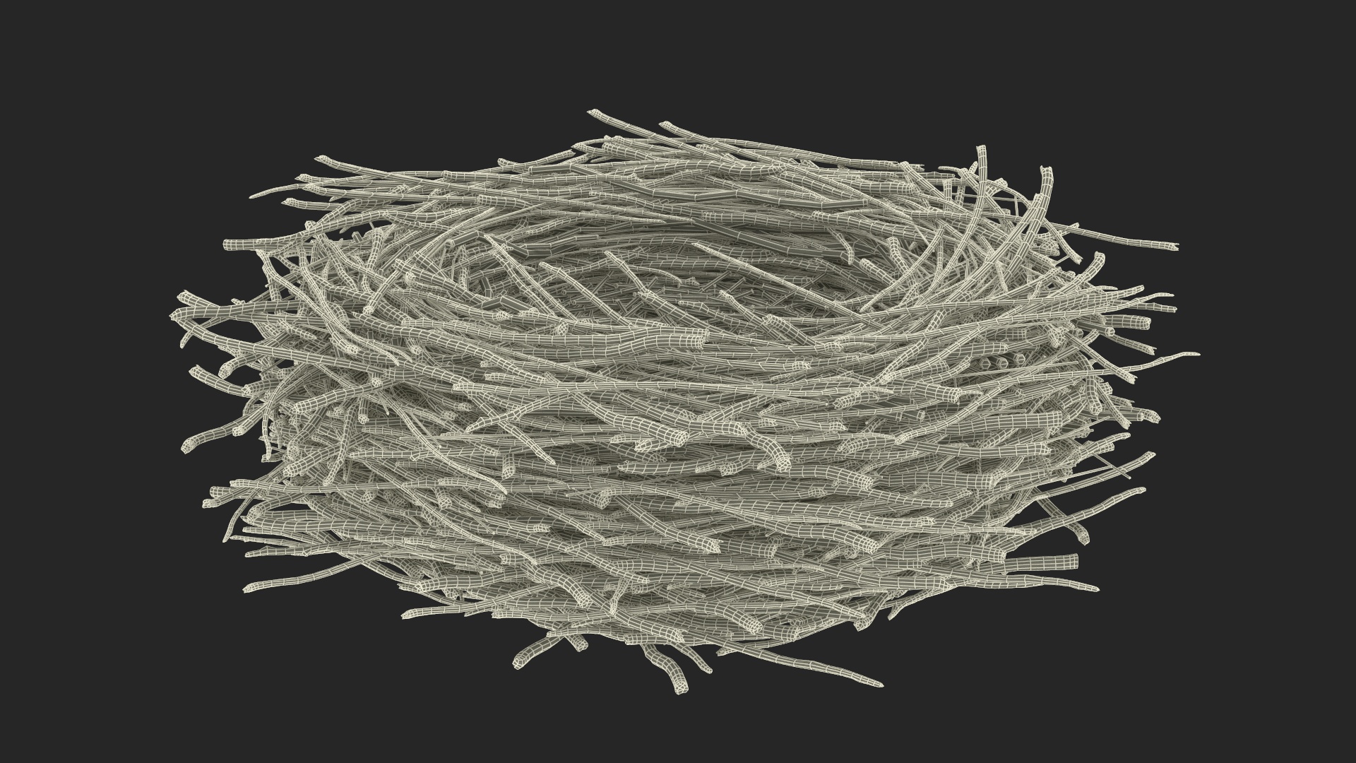 Bird Nest with Eggs 3D model