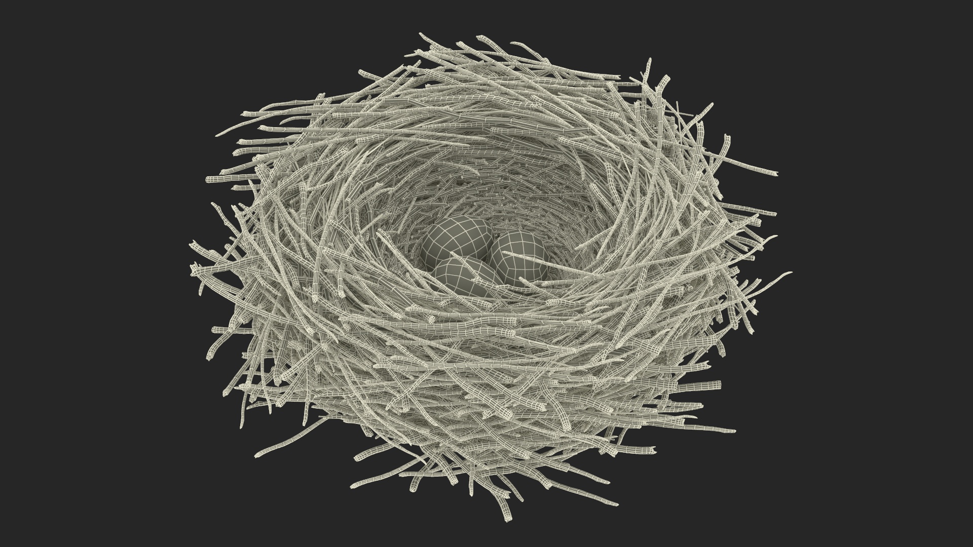 Bird Nest with Eggs 3D model
