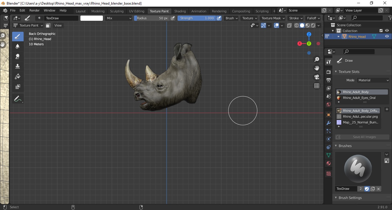 3D model Rhino Head