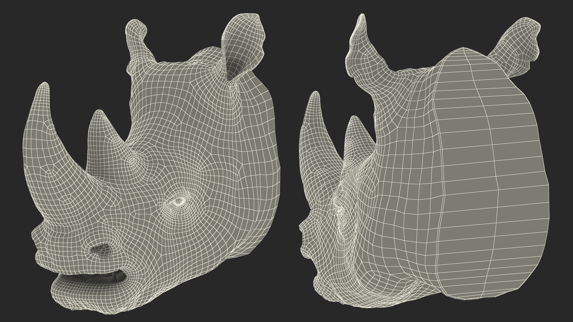 3D model Rhino Head