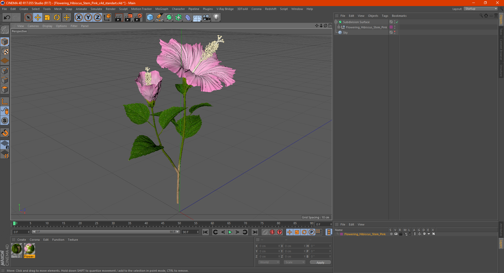 3D Flowering Hibiscus Stem Pink model