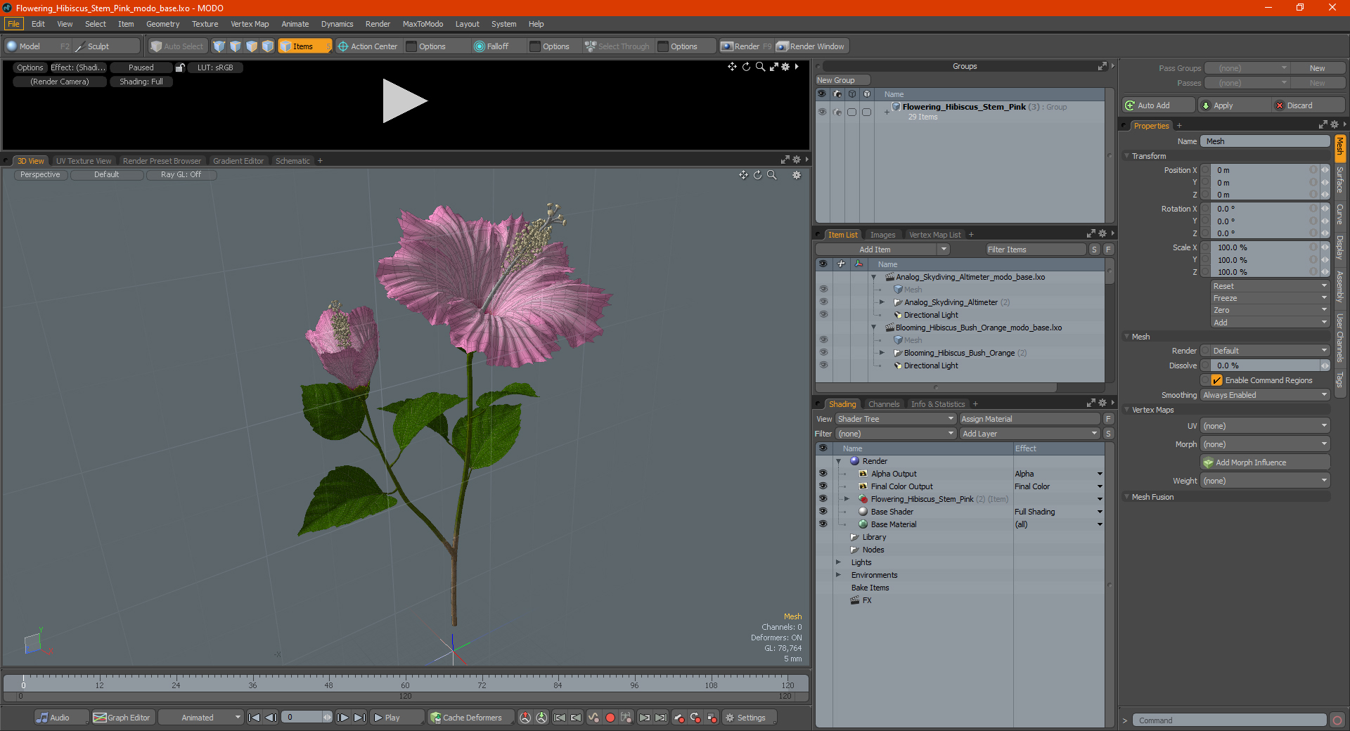3D Flowering Hibiscus Stem Pink model