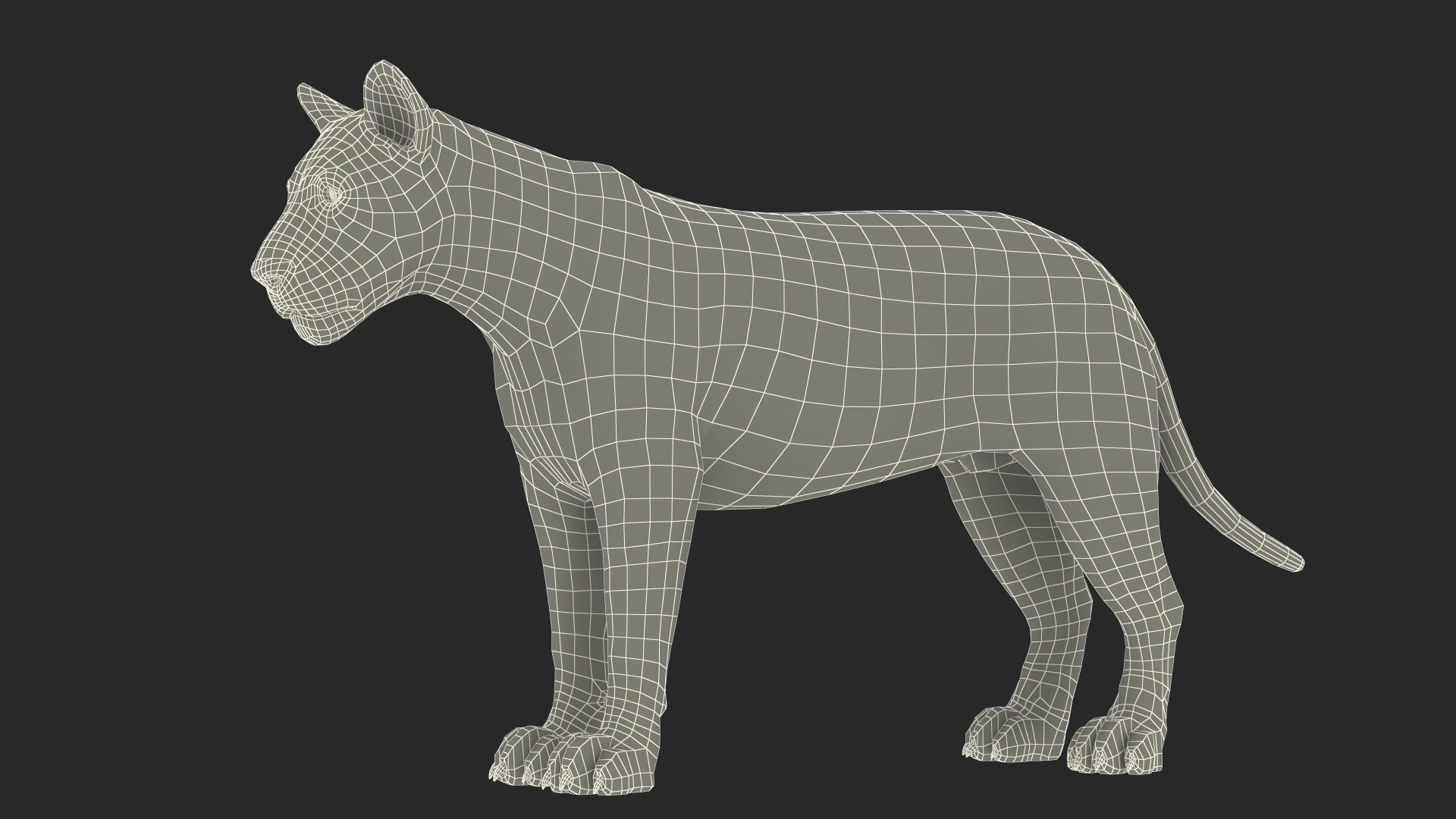 3D Male Lion Fur model