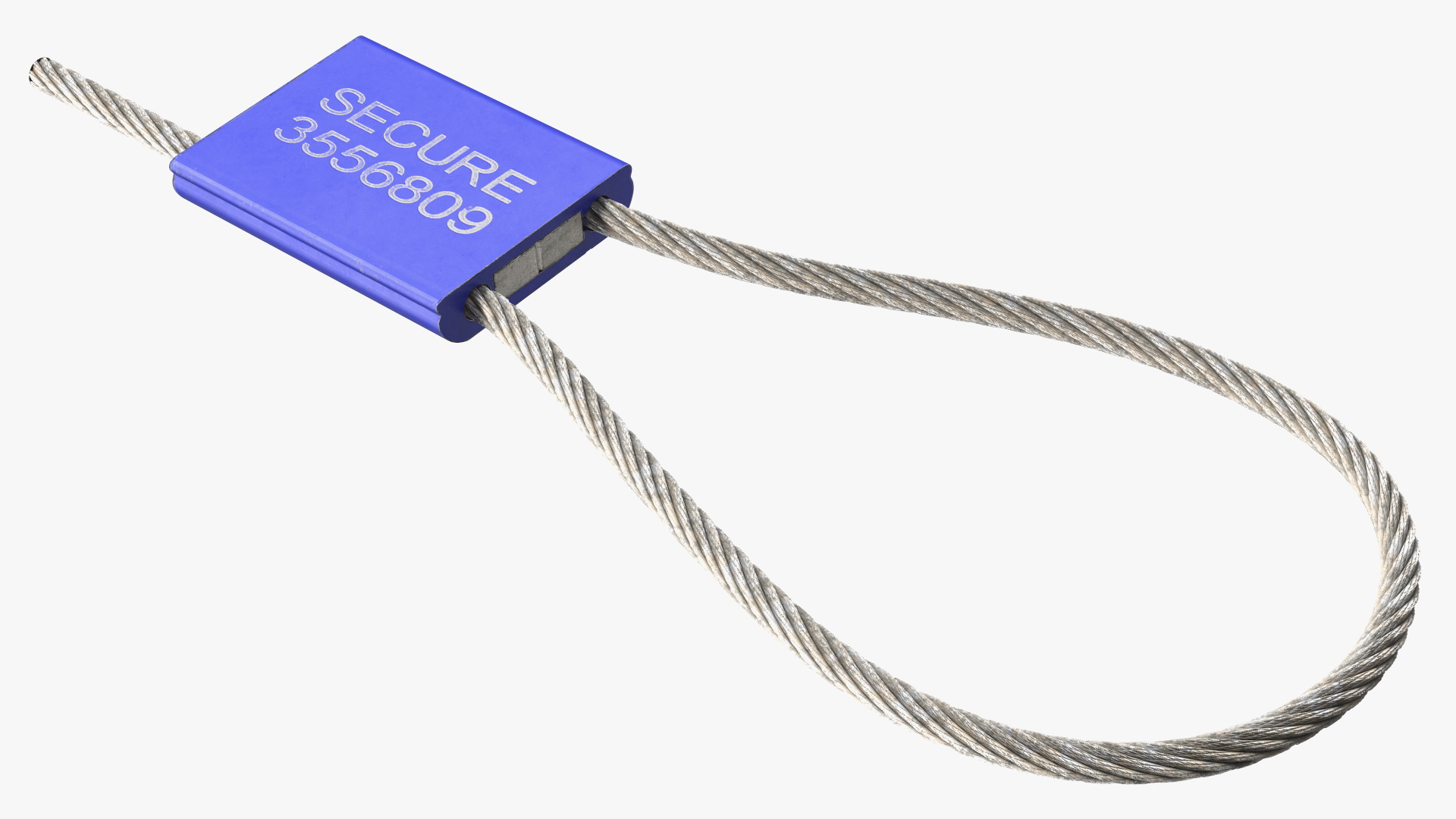 Blue Tight Steel Cable Seal Loop 3D