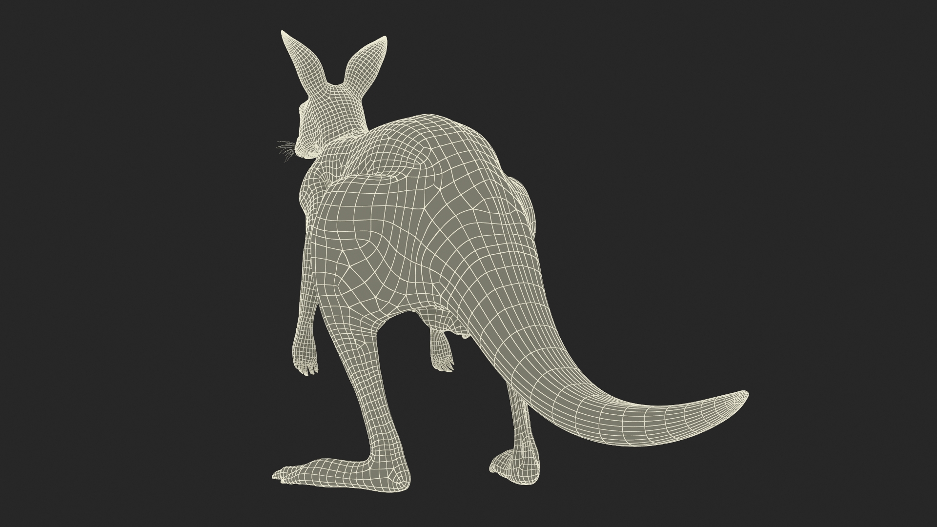 Kangaroo Fur 3D