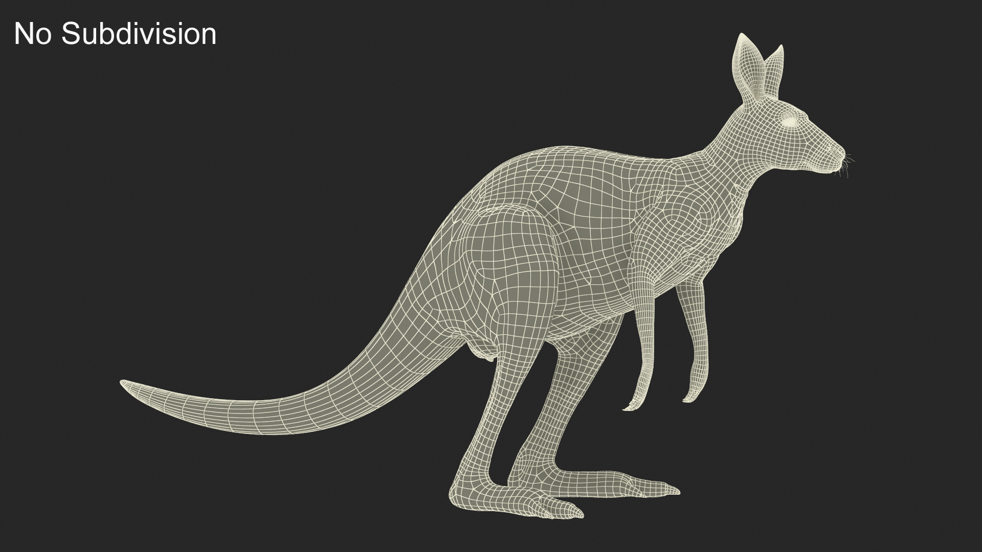 Kangaroo Fur 3D