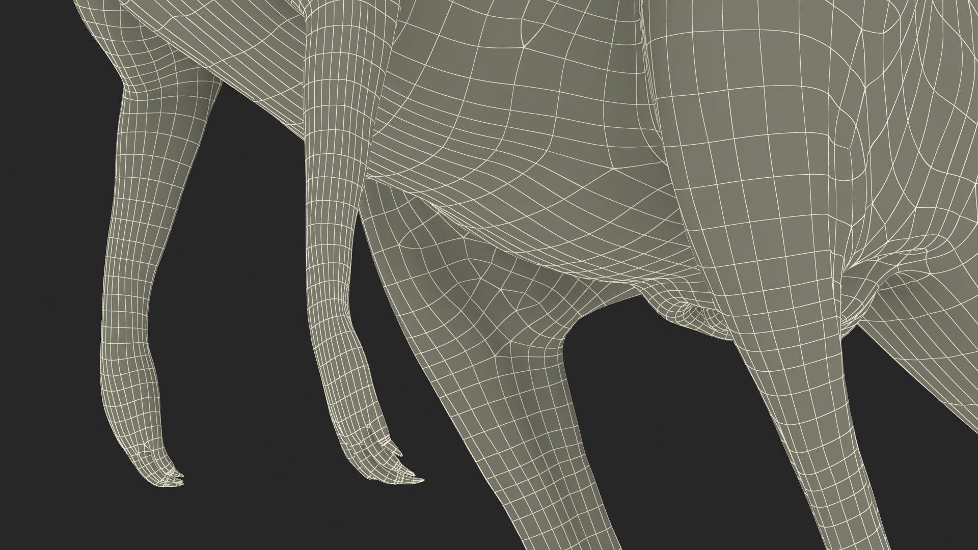 Kangaroo Fur 3D
