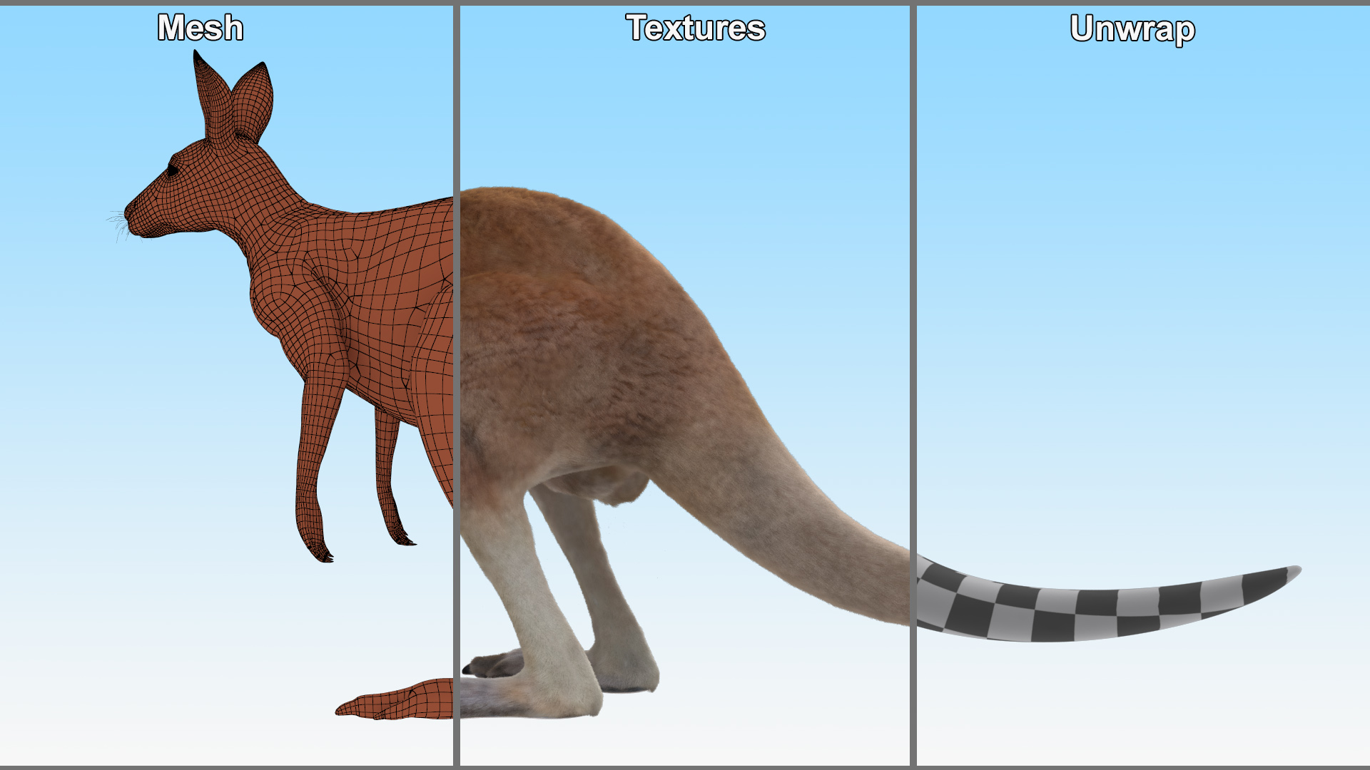Kangaroo Fur 3D