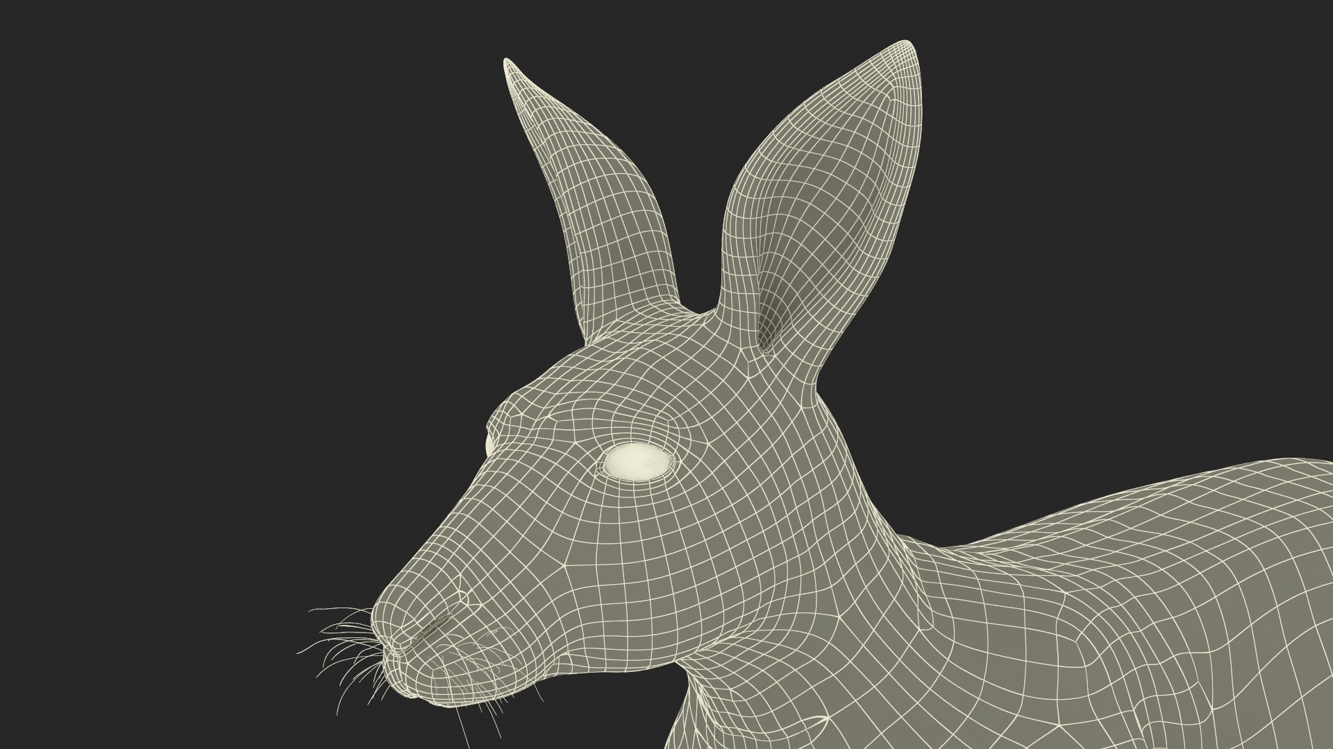 Kangaroo Fur 3D