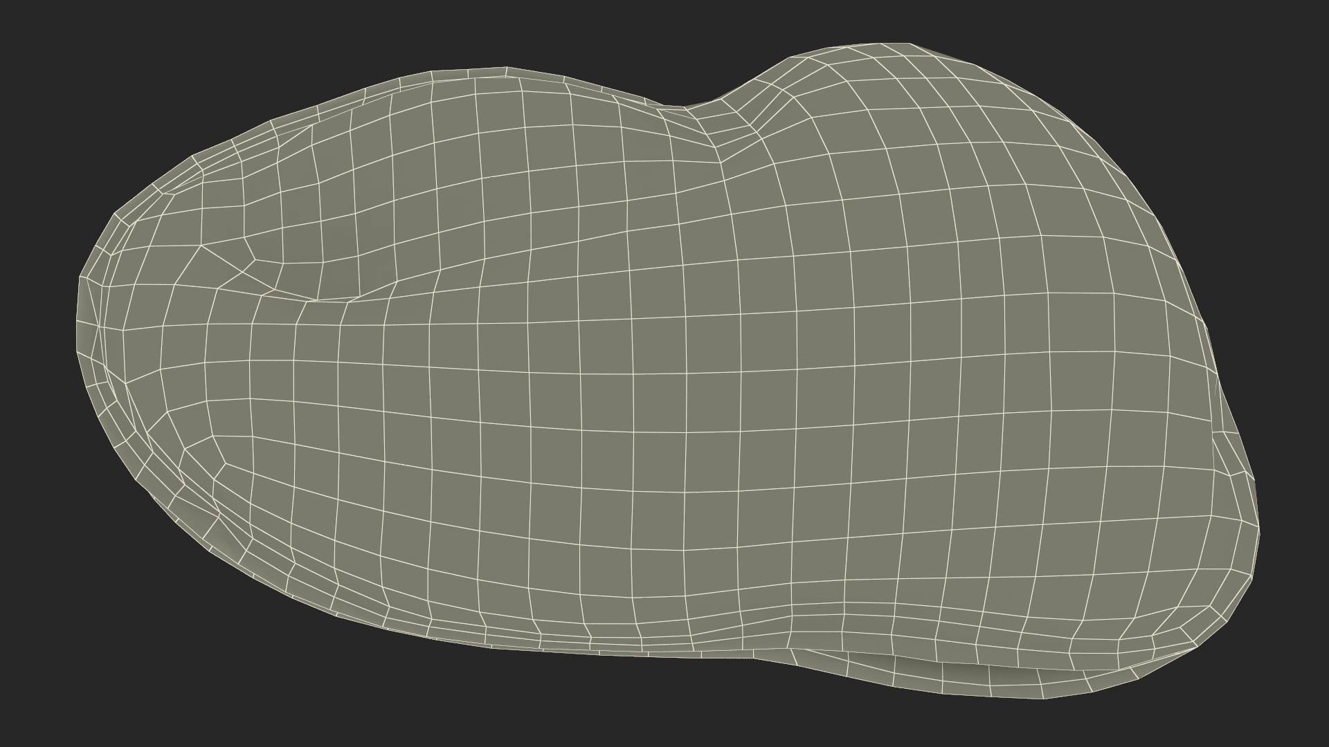 3D Boiled Cleaned Mussel