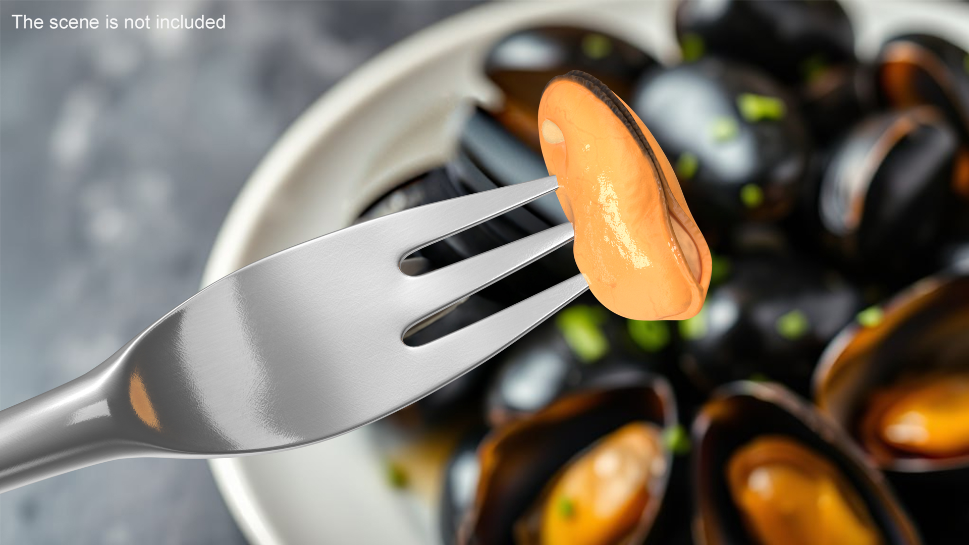 3D Boiled Cleaned Mussel