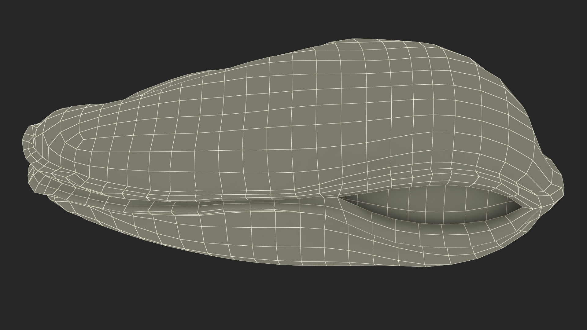 3D Boiled Cleaned Mussel