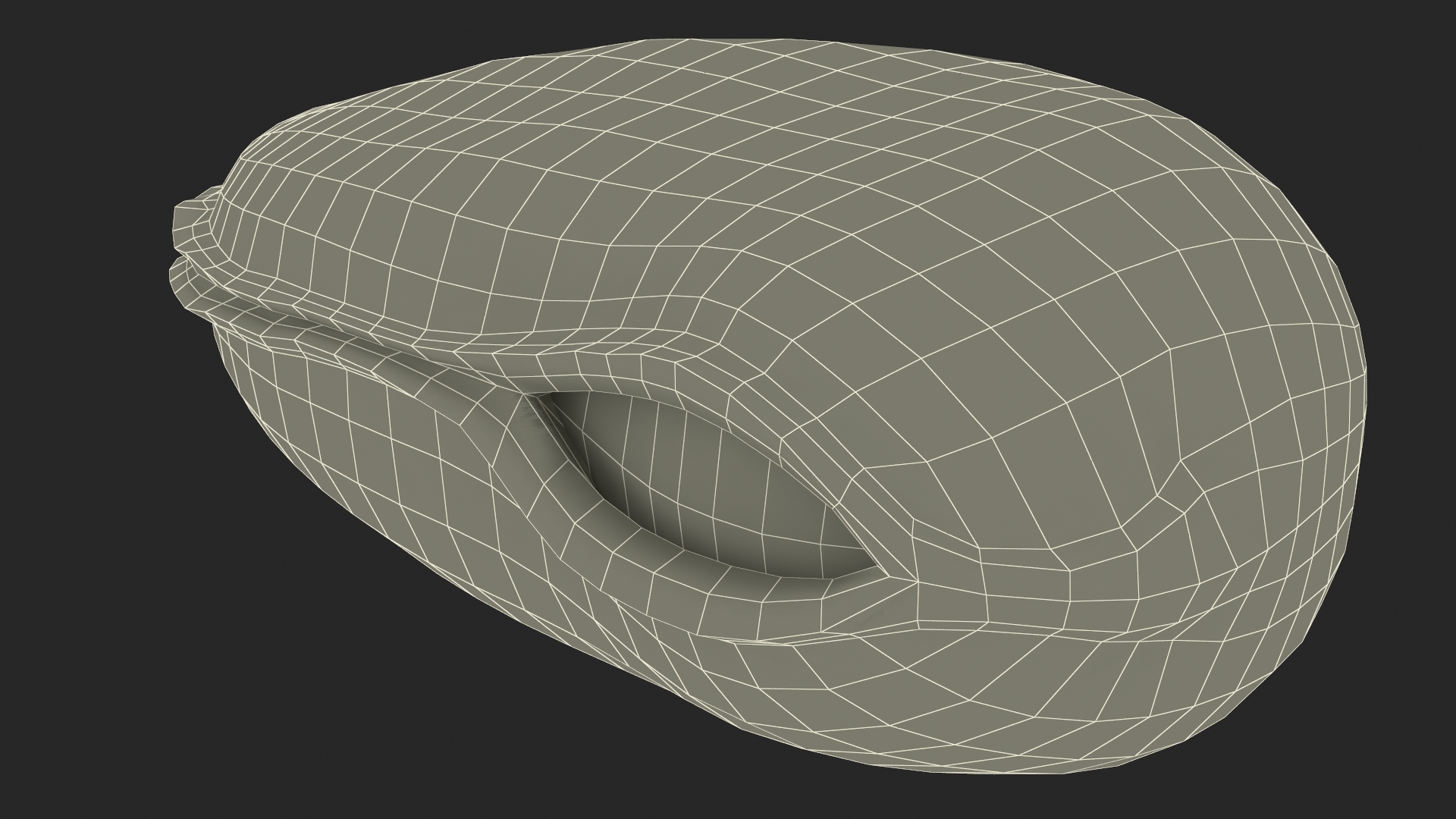 3D Boiled Cleaned Mussel