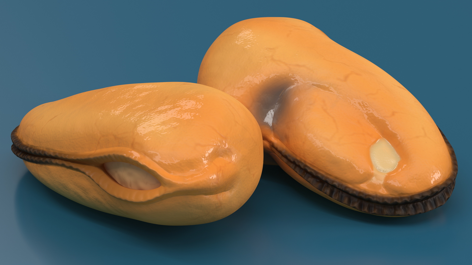 3D Boiled Cleaned Mussel