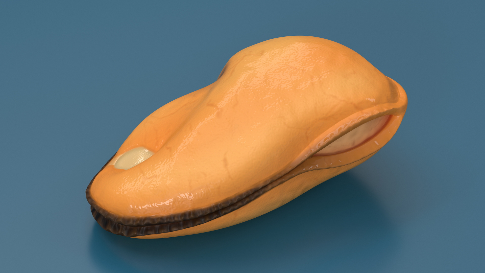 3D Boiled Cleaned Mussel