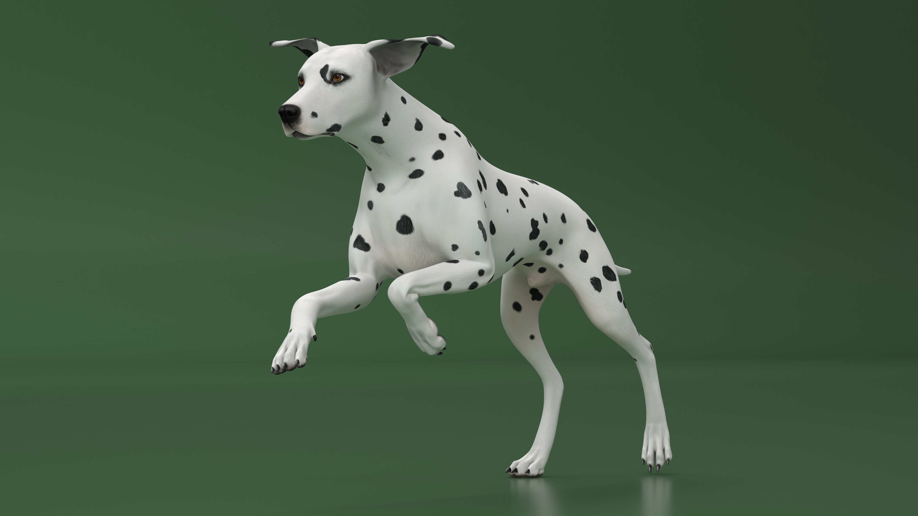 3D Running Dalmatian Dog