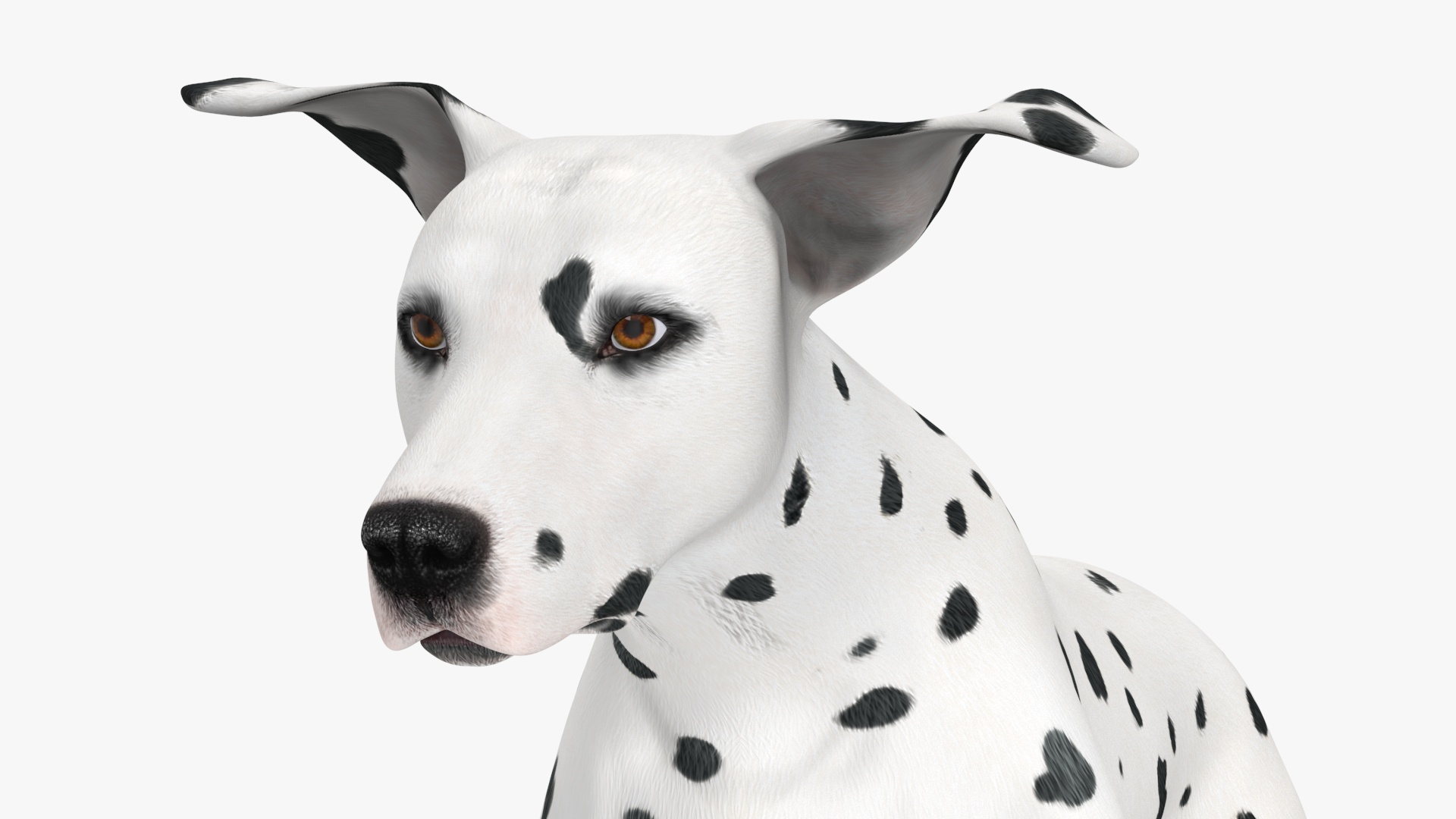 3D Running Dalmatian Dog