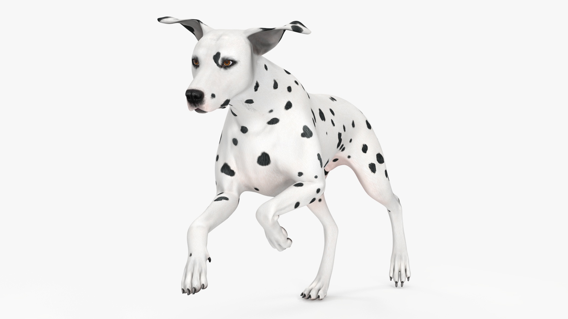 3D Running Dalmatian Dog