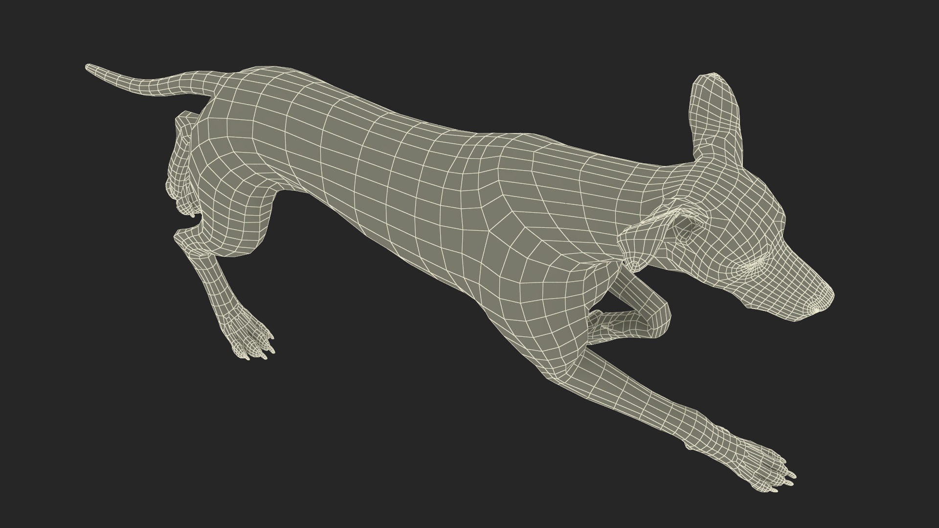 3D Running Dalmatian Dog